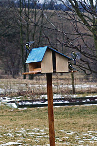 HolzWerken_44_Vogelhaus | Foto: Stefan Böning