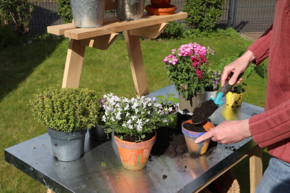 Ein Pflanztisch ist das Projekt in HolzWerken 102. Eine Frau nutzt diesen fertigen Tisch als Arbeitsstation und pflanzt Blumen in Übertöpfe ein.